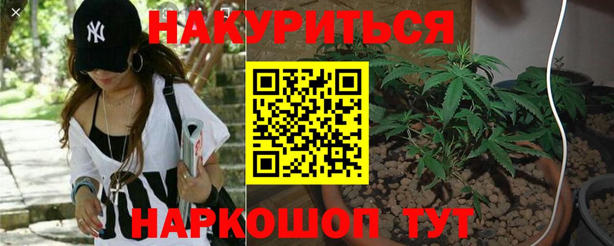 Марихуана OG Kush Железноводск
